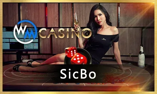 The Ultimate Guide to Live Dealer Games on yg777